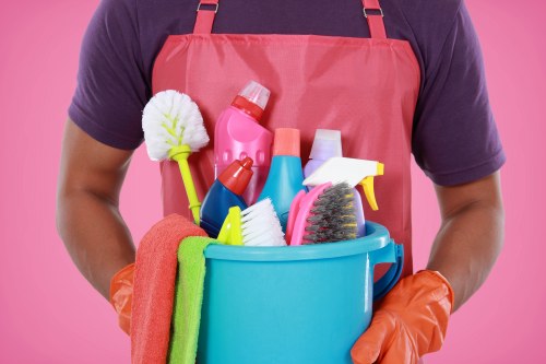 Pet stain odour removal service for carpets in Wormwood Scrubs