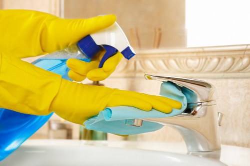 Carpet cleaning service for homes in Wormwood Scrubs