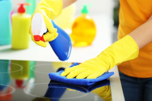 Professional carpet cleaner inspecting a room before treatment