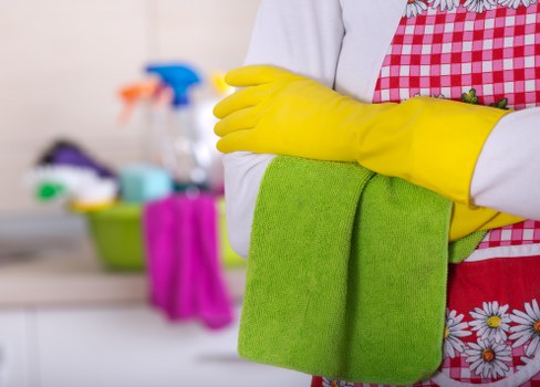Cleaning tools used for mattress stain and odour removal